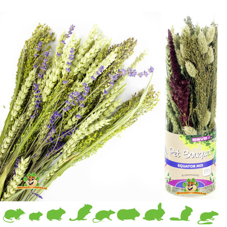 Esve Bouquet pour animaux de compagnie Tube Harvest Aves Minor