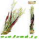 Esve Pet Bouquet Harvest Knabberstrauch