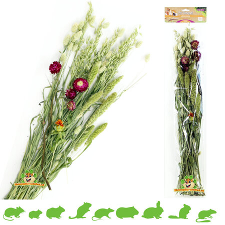 Esve Pet Boeket Oogst Weidegewas