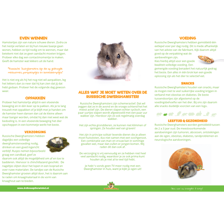 Chomik rosyjski karłowaty (rezerwat chomików)