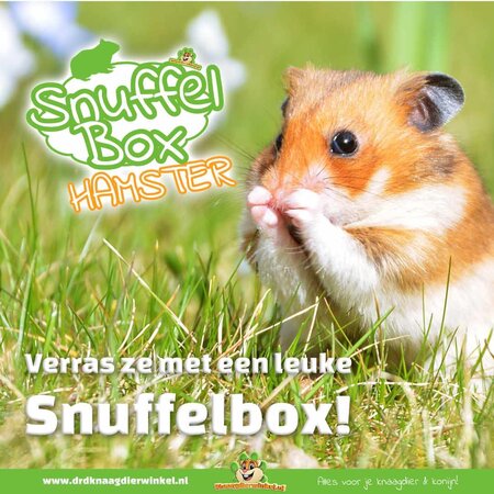 Knaagdierwinkel® Goldene Hamster-Schnüffelbox Nr. 14