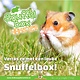 Knaagdierwinkel® Goldene Hamster-Schnüffelbox Nr. 14