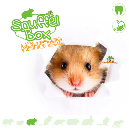 Knaagdierwinkel® Golden hamster sniffing box #10
