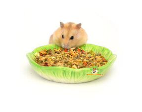 Nourriture pour hamster