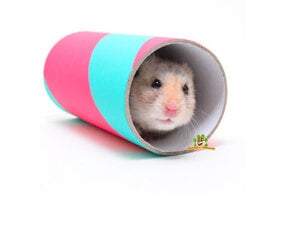 Hamster Tunnels