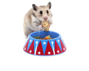 Hamster food bowl