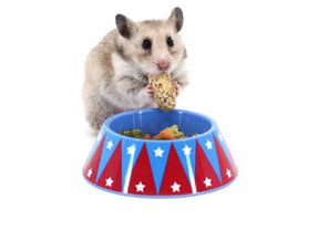 Hamster Voerbak