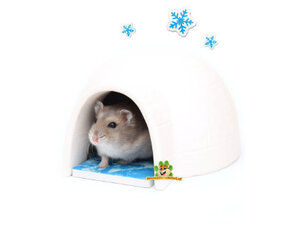 Hamster Summer Products