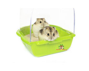 Hamster Care