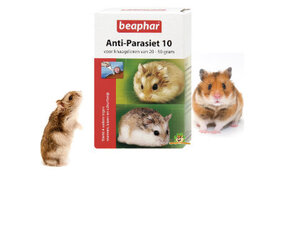 Hamster Gezondheid