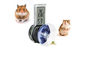 Hamster Cage Accessories