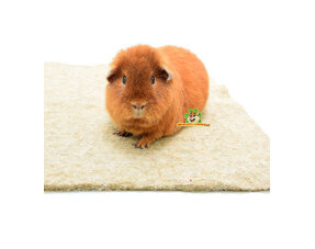 Tapis de sol et tapis pour urine de cochons d'Inde