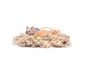 Mice Ground Covering