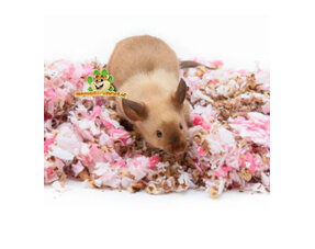 Matériaux pour nids de souris 