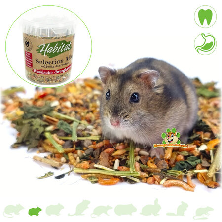 Esve Habitat Nourriture pour Hamster Nain 450 grammes Nourriture Naturelle pour Hamster Nain