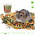 Esve Habitat Dwarf Hamster 450 grams