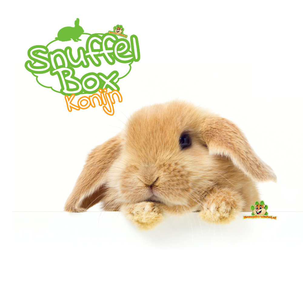 Kaninchenpakete und -boxen bieten Beschäftigungsmöglichkeiten für Kaninchen.