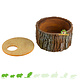 Tree trunk shelter with removable roof for small rodents