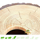 Abnehmbares Dach für Hamsterscaping-Baumstamm