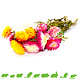 Knaagdier Kruidenier Dried Strawflowers