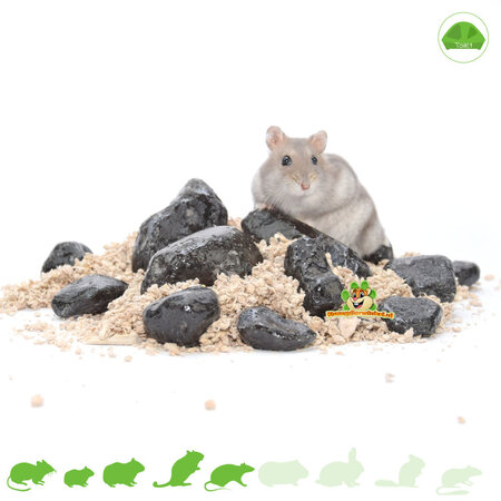 Knaagdierwinkel® Ensemble de pierres à pipi noires