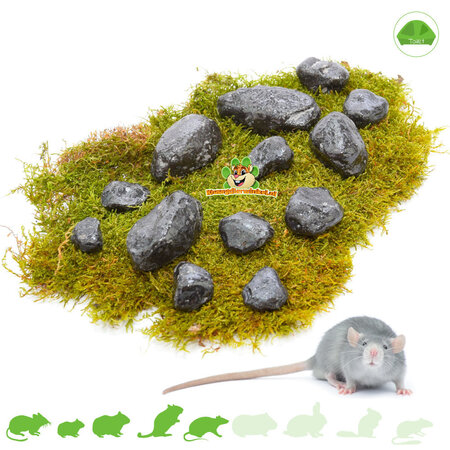 Knaagdierwinkel® Black Pebbles Set