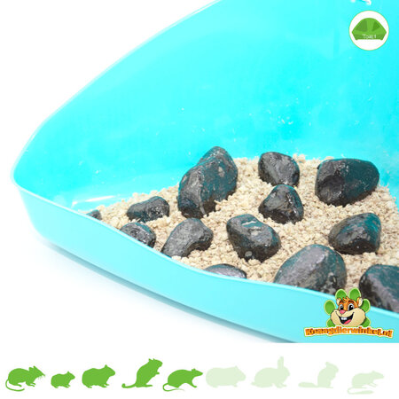Knaagdierwinkel® Plasstenen Set Zwart