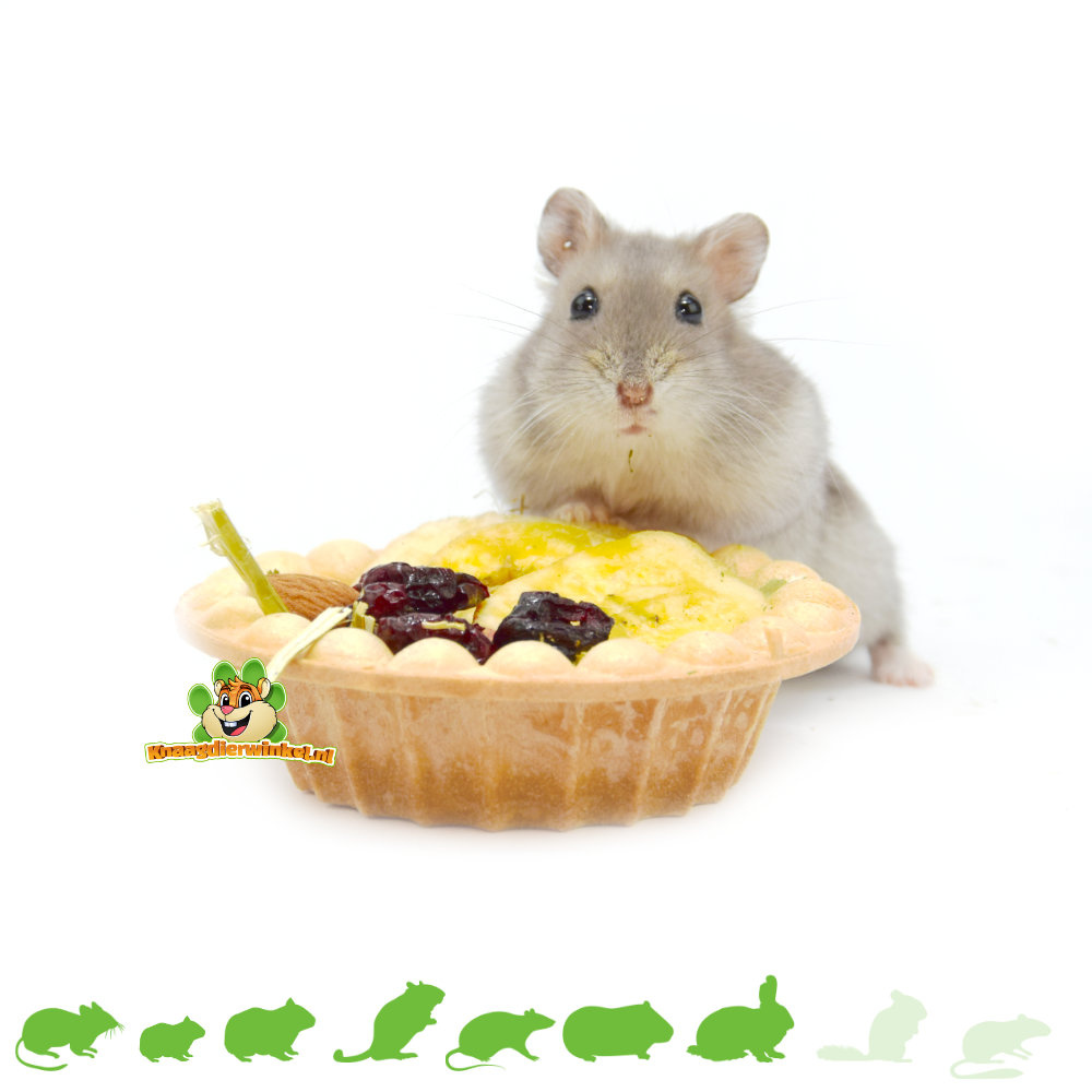 Vitakraft Veggie & Fruity Pie Treat for Pet Rabbits, Guinea Pigs