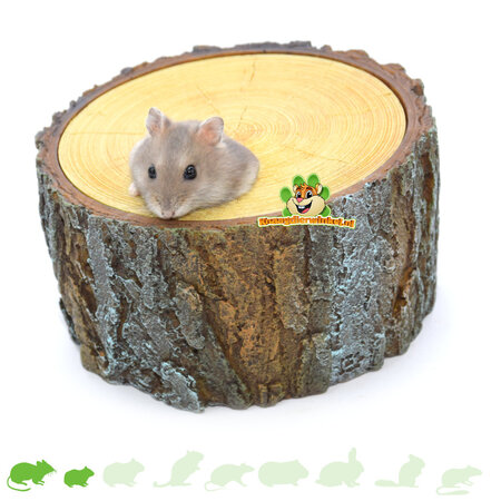 Refugio en un tronco de árbol con techo desmontable para pequeños roedores.