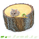 Hamsterscaping Toit amovible en tronc d'arbre