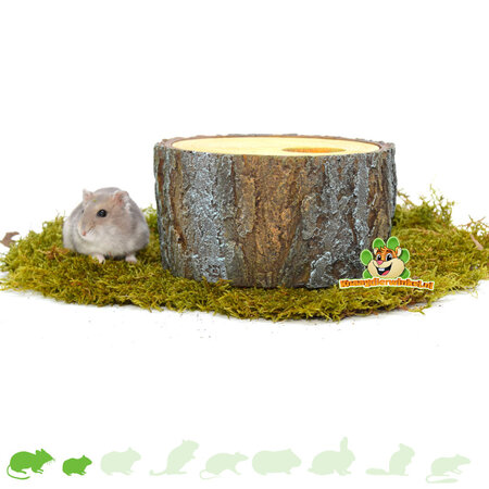 Tree trunk shelter with removable roof for small rodents