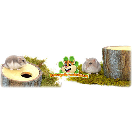 Hamsterscaping Toit amovible en tronc d'arbre
