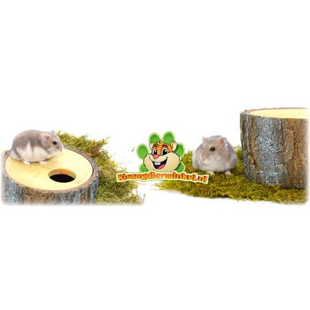 Hamsterscaping Tree Trunk Removable Roof