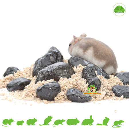 Knaagdierwinkel® Black Pebbles Set