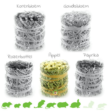 Timothy Heurolle 100 g für Nagetiere und Kaninchen