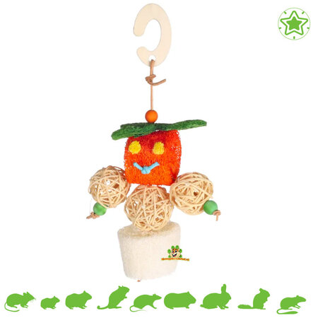 Jack Pumpkin Spielzeug für Nagetiere und Kaninchen