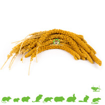 Spray Millet Yellow 250 grams