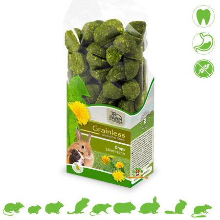 JR Farm JR Farm Grainless Drops Paardenbloem 140 gram