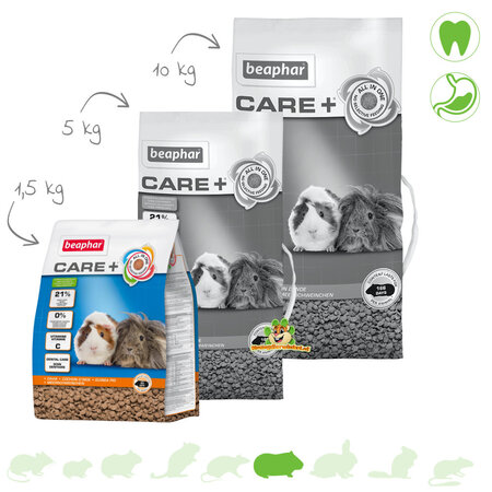 Beaphar Care Plus Alimento para cobayas - Alimento saludable para cobayas