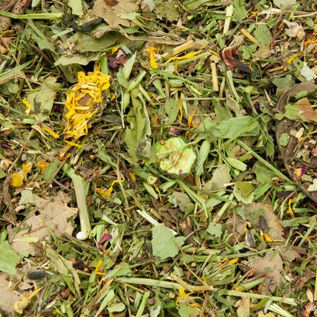 Mr Crumble Aliment naturel sans céréales pour octodons 250 g | Degu Food