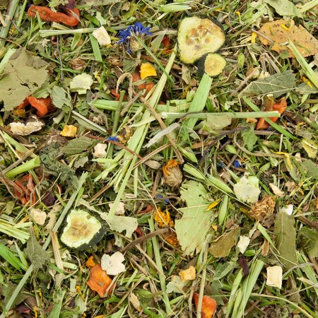 Mr Crumble Mezcla de mommel de hierbas para conejos 250 gramos