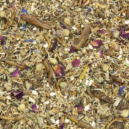 Mr Crumble Aliment naturel pour hamsters nains 500 grammes