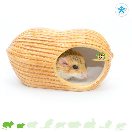 Trixie Casita de cerámica para cacahuetes de 17 cm para ratones y hámsteres enanos.