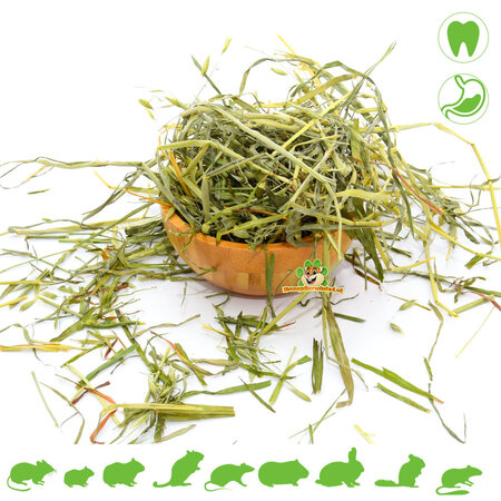 Knaagdier Kruidenier Rodent Grocer Avena y cebada para roedores y conejos