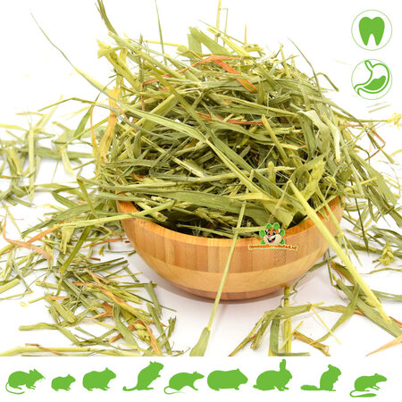 Knaagdier Kruidenier Herbes de blé séchées 100 grammes