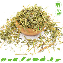 Dried Lucerne (Alfalfa)