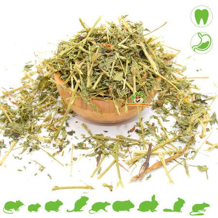 Knaagdier Kruidenier Suszona lucerna (alfalfa) 100 gramów