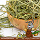 Knaagdier Kruidenier Avena y hierba de cebada de Rodent Grocer para roedores y conejos