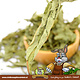 Knaagdier Kruidenier Jerusalem artichoke Topinambur Leaf