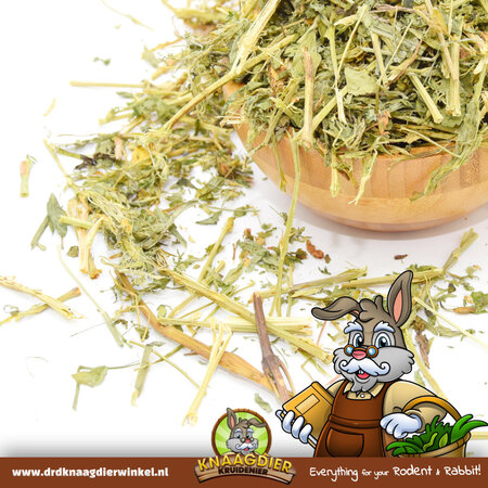 Knaagdier Kruidenier Getrocknete Luzerne (Alfalfa)